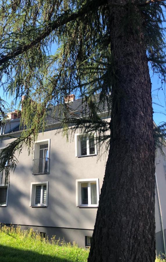 Apartament W Stroniu Stronie Slaskie Exterior photo
